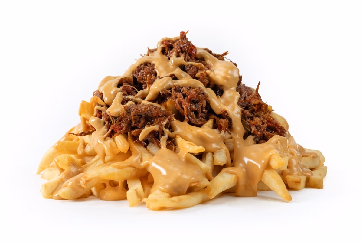 French fries topped with shredded meat and creamy brown sauce, arranged in a pile on a white background.