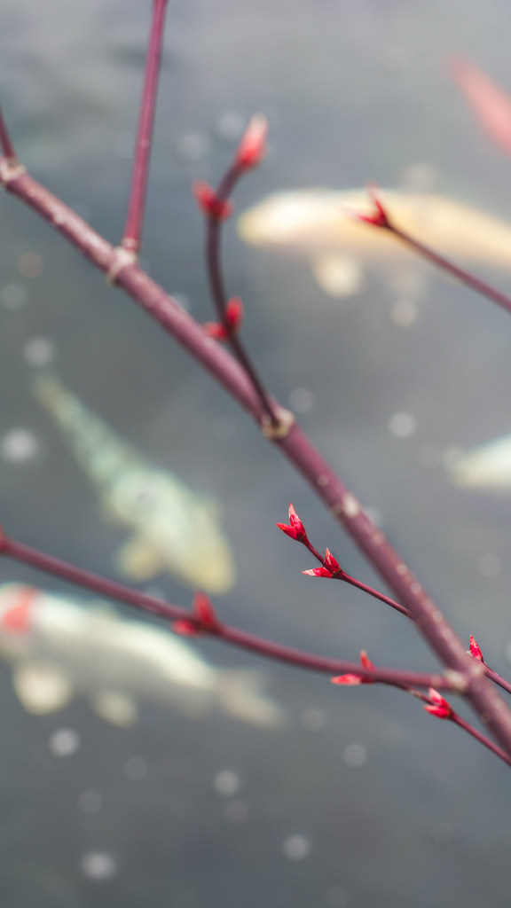 a simple minimalistic and modern wallpaper