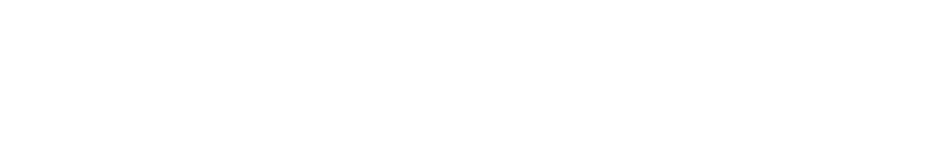 senss.store logo text in bold white letters on transparent background.