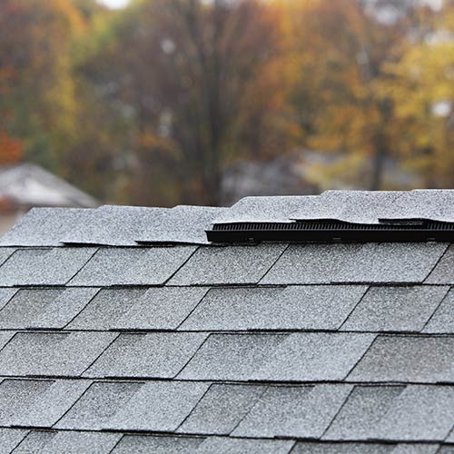 Close-up of gray asphalt roof shingles with a vent strip near the top and blurred autumn foliage in the background.