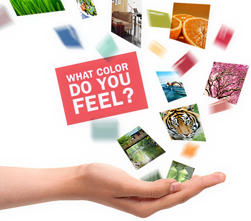 Open hand with floating colorful squares showing images of nature, fruit, and a tiger, surrounding a pink square with text ‘What Color Do You Feel?’