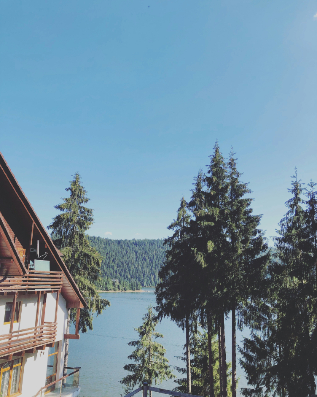 A lakeside view with tall pine trees and a wooden house balcony under a clear blue sky.