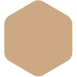 Simple hexagon shape with a light brown fill and a gray border on a white background.