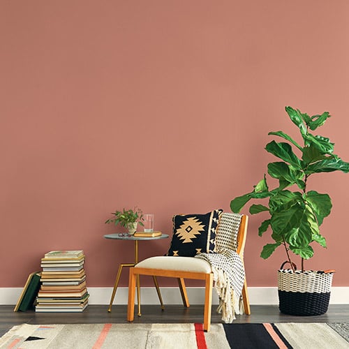 Cozy corner with a wooden chair draped with a black and white patterned pillow and throw, beside a small round side table with a plant and glass, a stack of books on the floor, and a large leafy potted plant on a wooden floor against a muted pink wall.