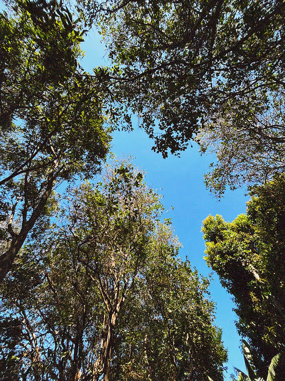 Foto naturaleza y cielo
