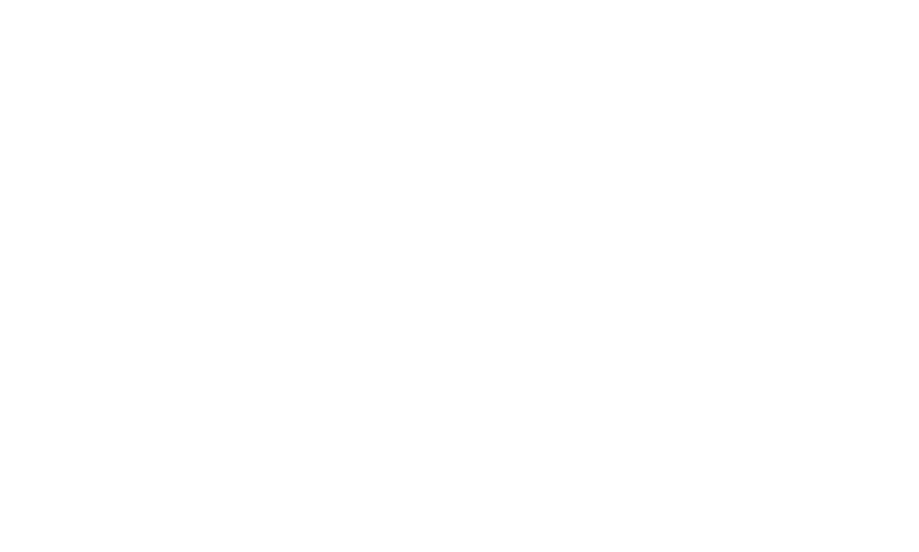 visa logo