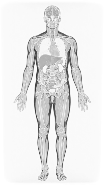 MRI scan showing a human male skeleton in a standing upright position.