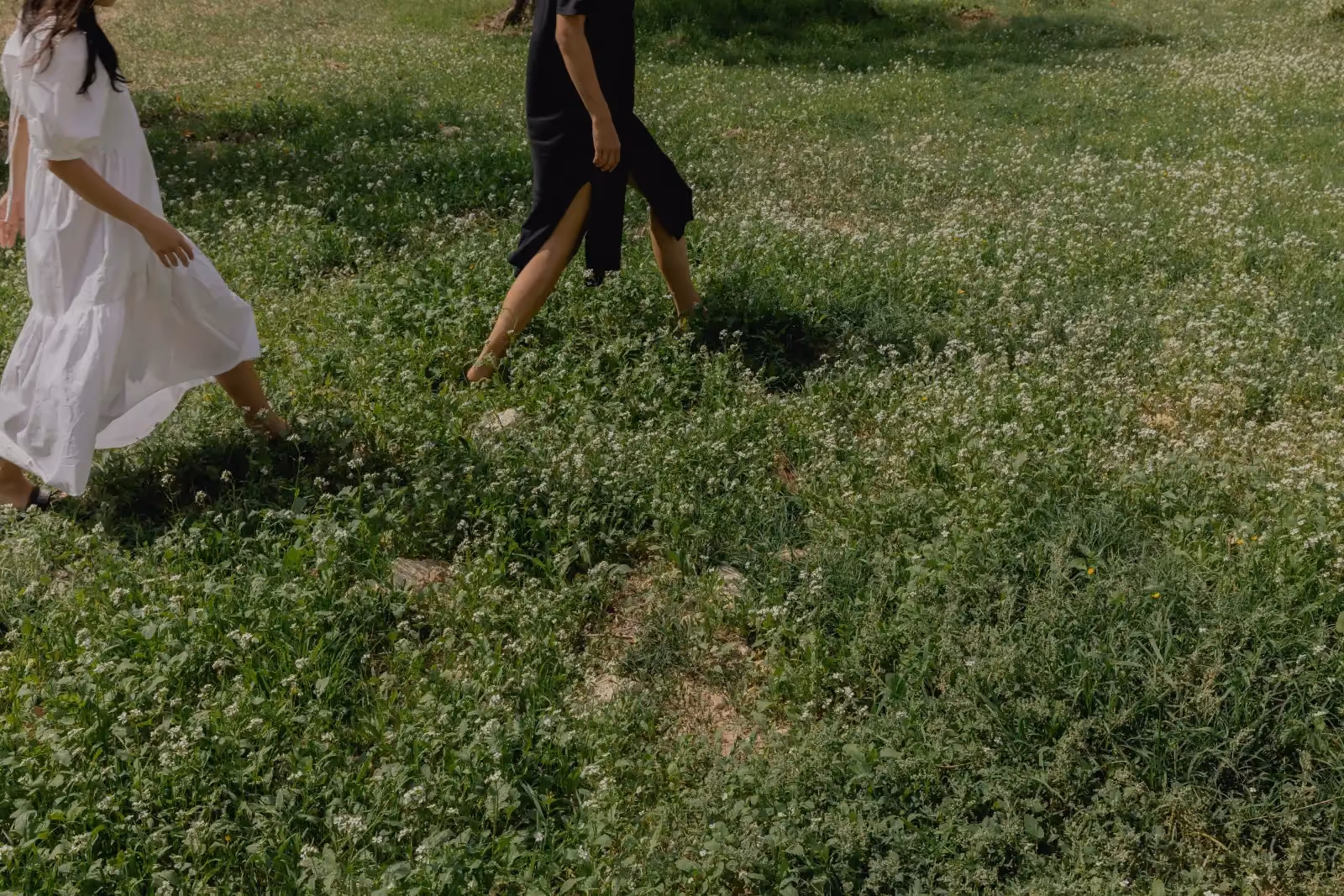 Two people walking through a sunlit meadow
