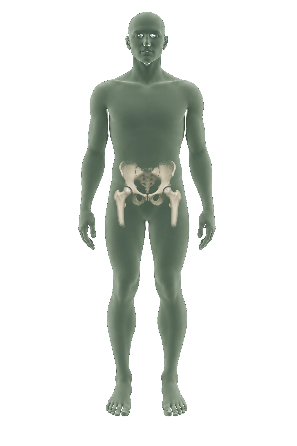 Illustrative body location, not a coverage map