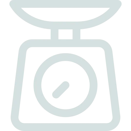Scale icon