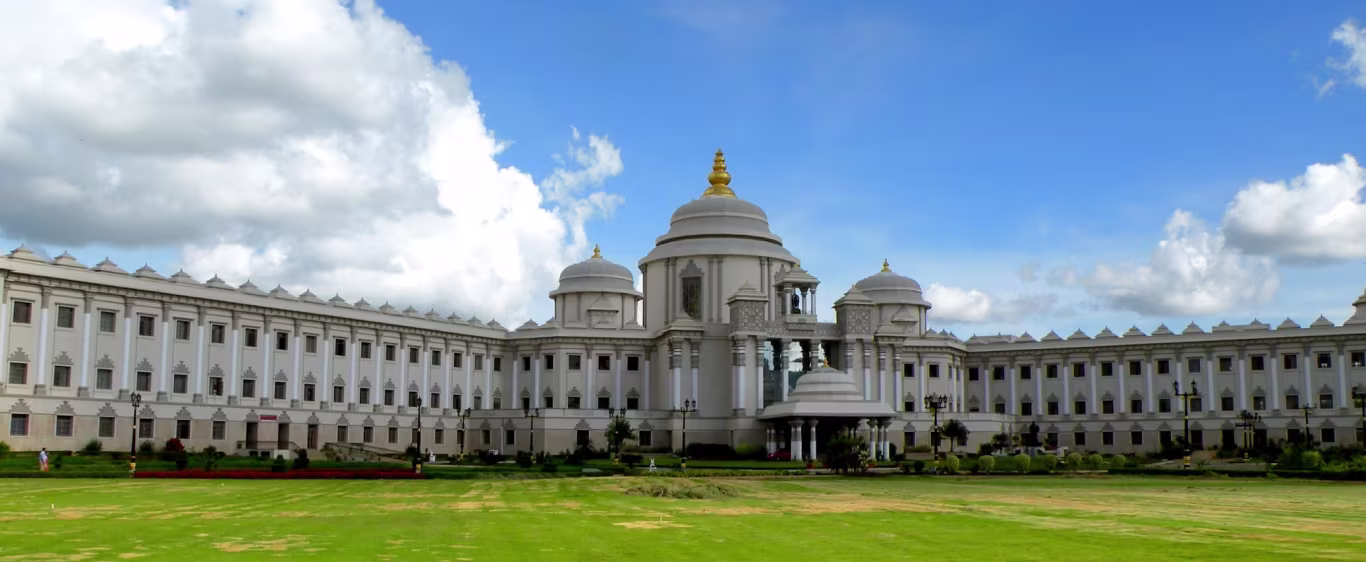 Curved coastal highway with light trails along a city skyline at sunset with a gradient orange and purple sky and birds flying.