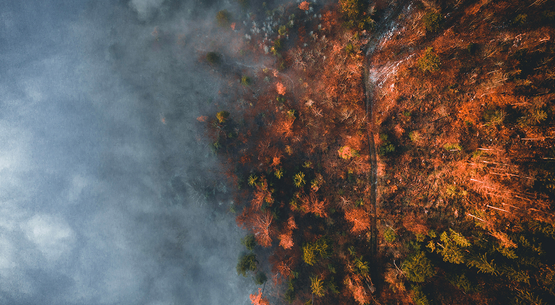 Aerial view of smoke spreading over a forest with autumn-colored trees and a visible dirt path.