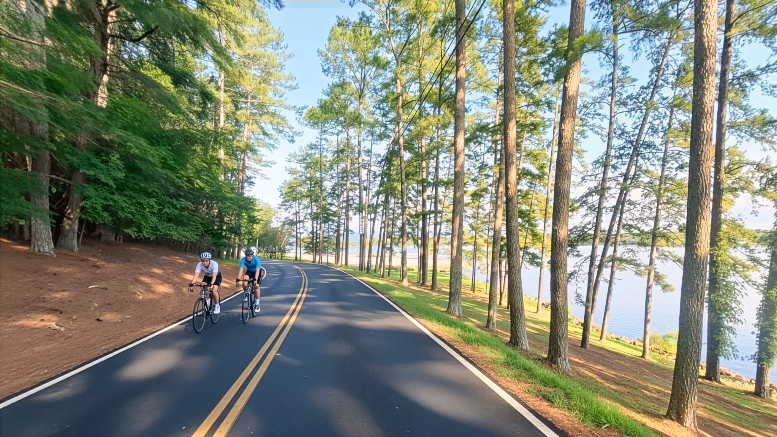 Cyclists riding along a tree lined lakeside road at Chester Frost Park in Hixson TN with views of Chickamauga Lake and tall pine trees.
