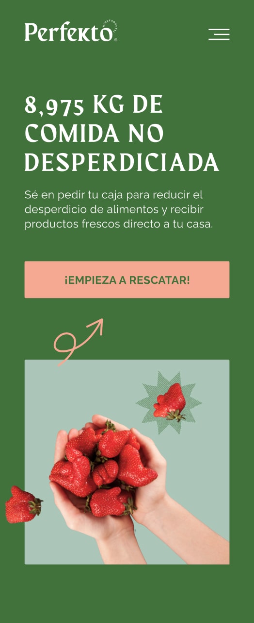 Perfekto Website Concept