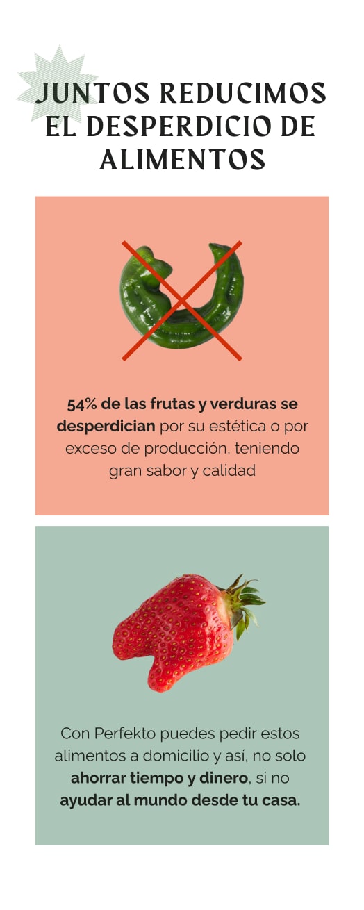 Perfekto Website Design 3