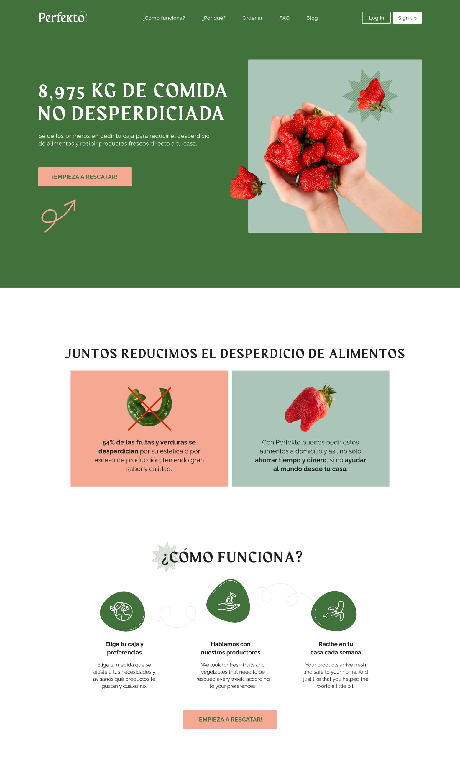 Perfekto Website Design 1