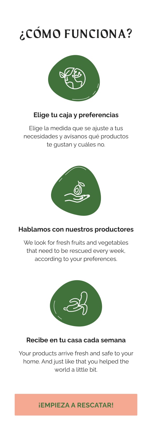 Perfekto Website Design 4