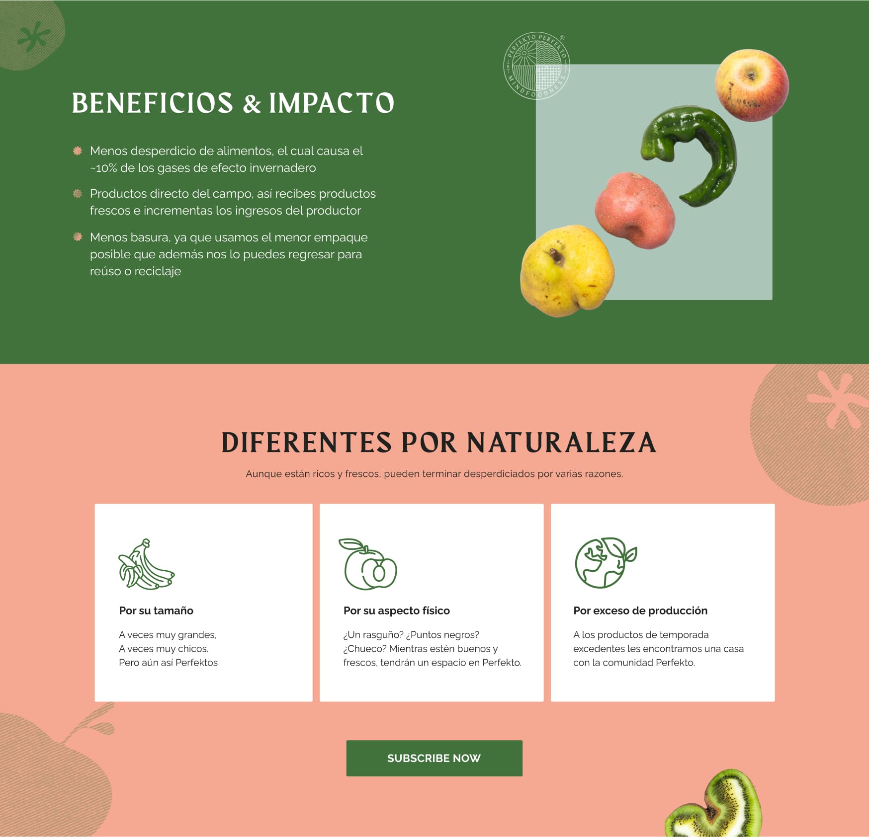 Perfekto Website Design 2