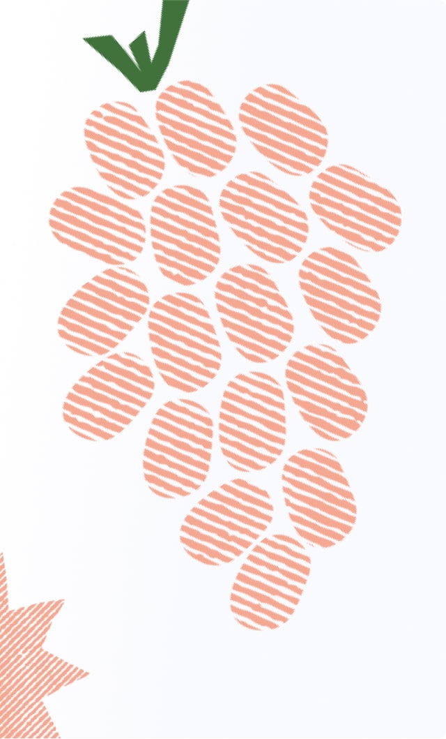 perfecto illustration4