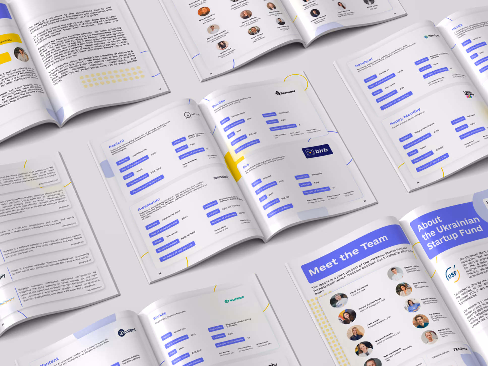 Brochure example