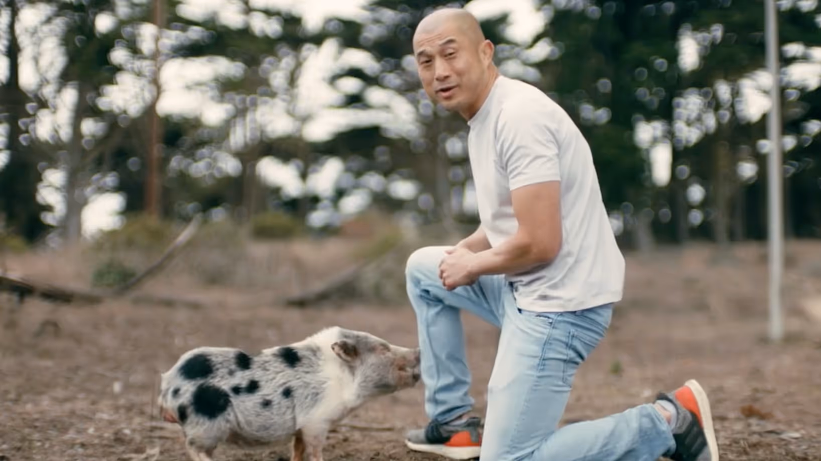 the hog. video poster