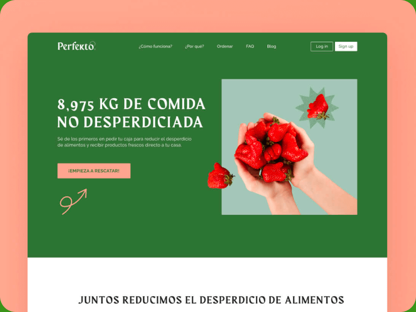 Perfekto –  Website & graphic design