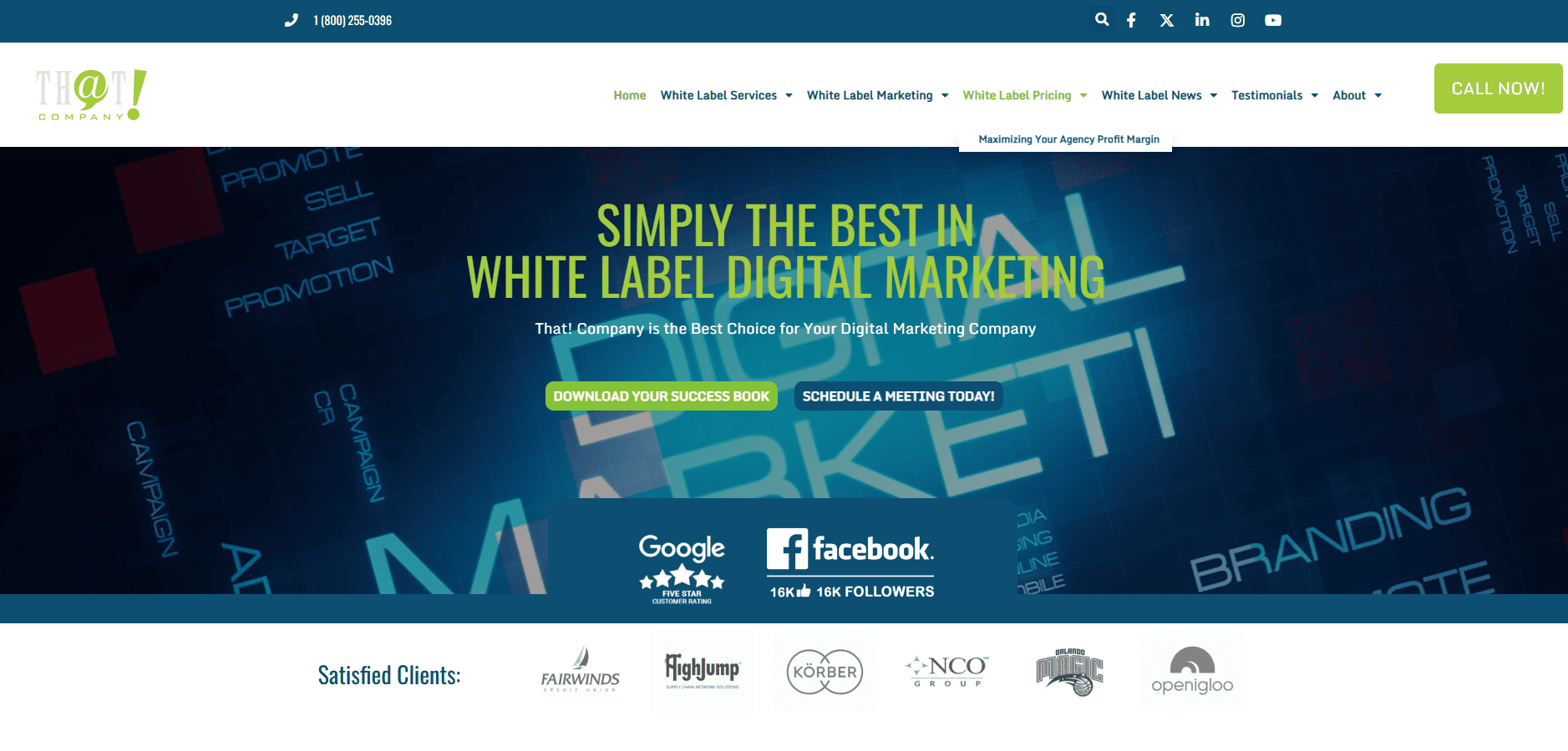 that company as one of the white label web design services