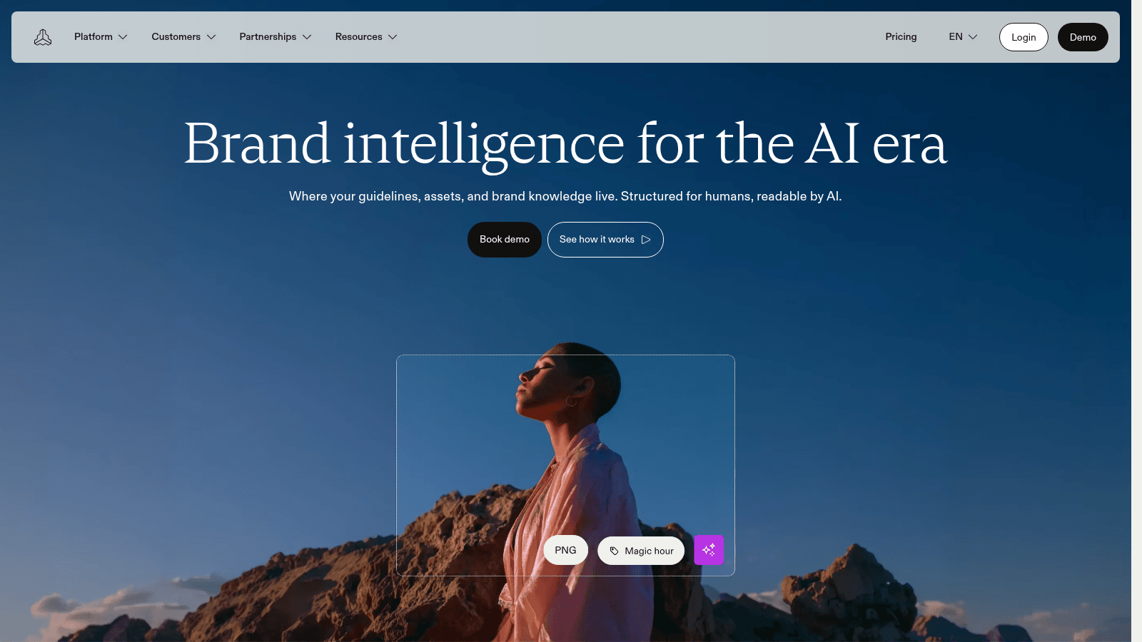 Frontify as a top branding tool for startups