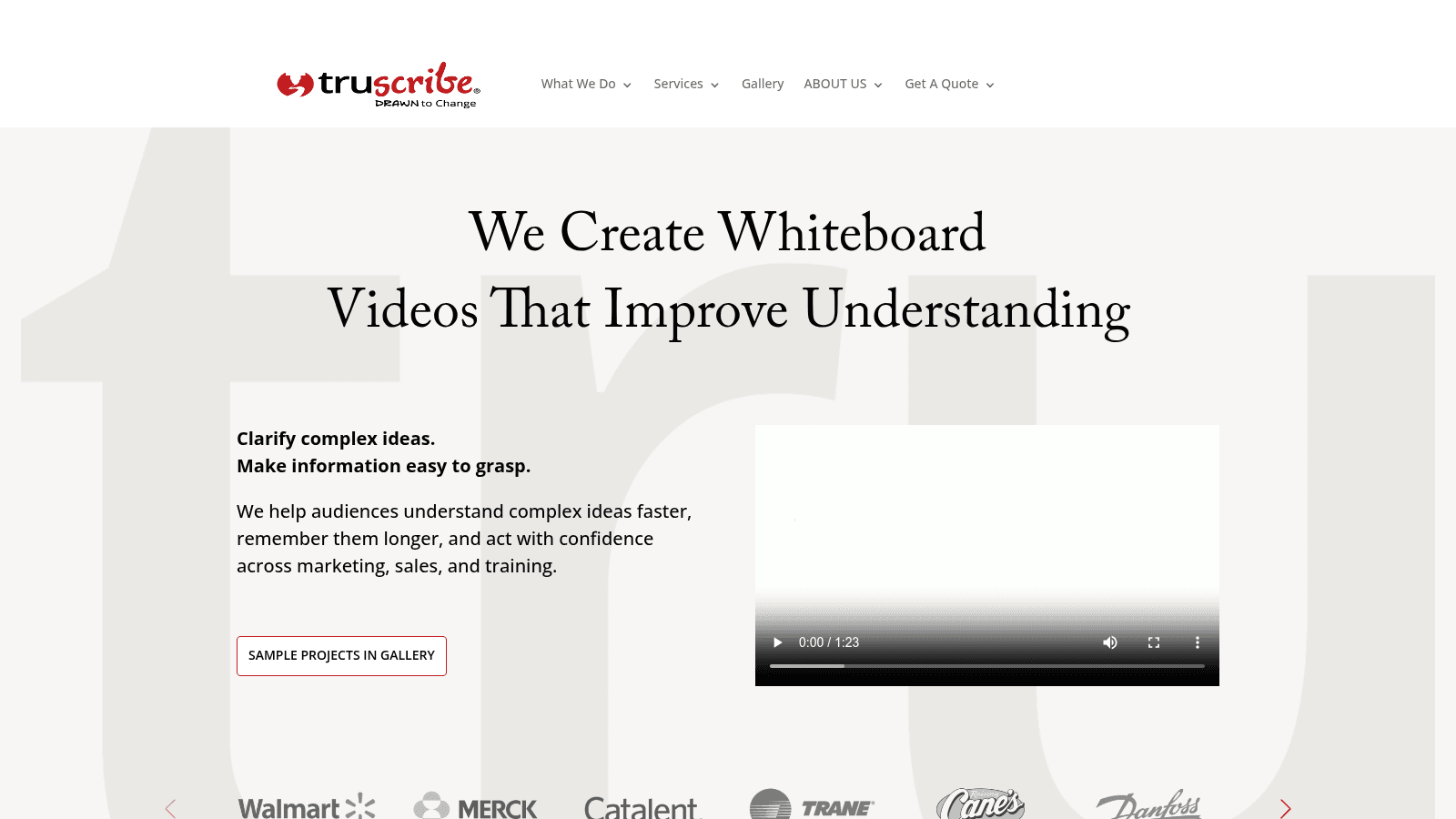 TruScribe as a top explainer video company in usa