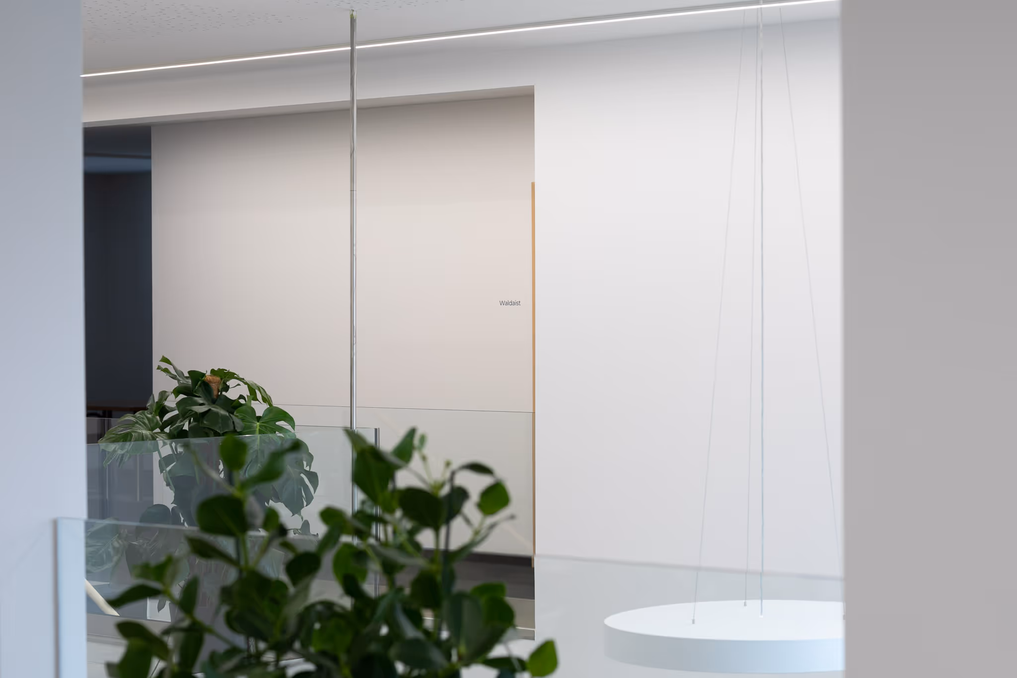 Moderne minimalistische Innenaufnahme mit weißen Wänden, grünen Pflanzen und einer hängenden runden Lampe.