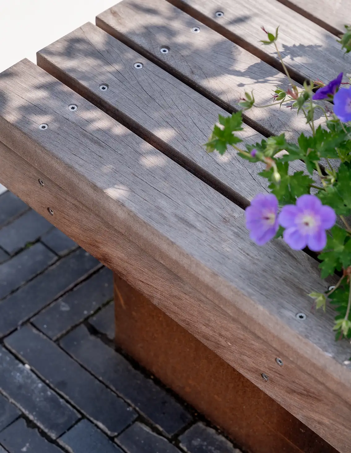 Houten parkbank met schaduwen erop en paar paarse bloemen aan de rechterkant.