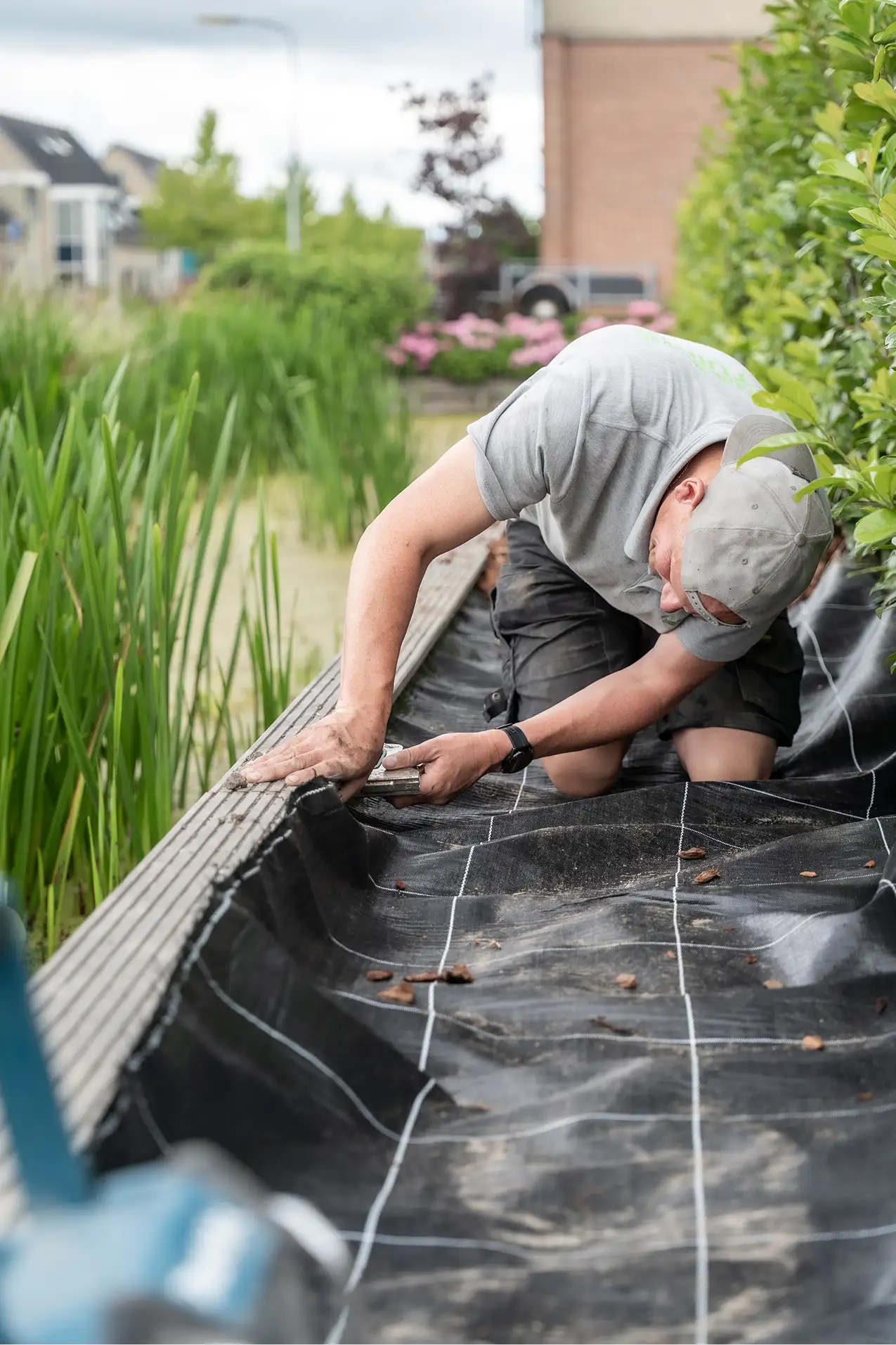 Man kneeling and smoothing black landscaping fabric in a garden next to a pond with tall green plants.