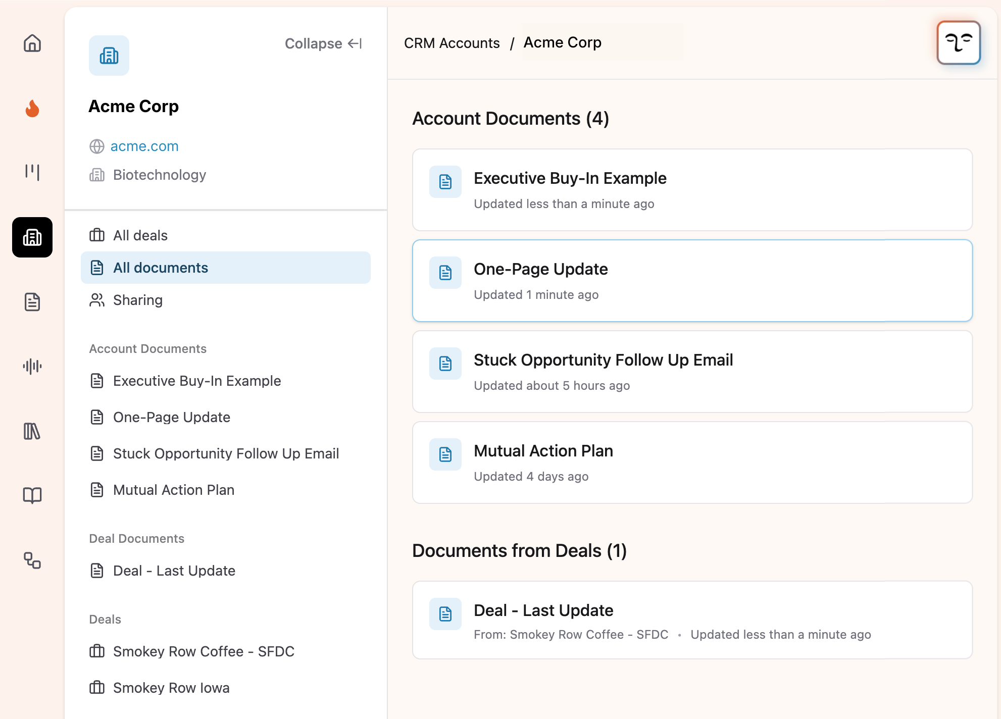CRM Account View