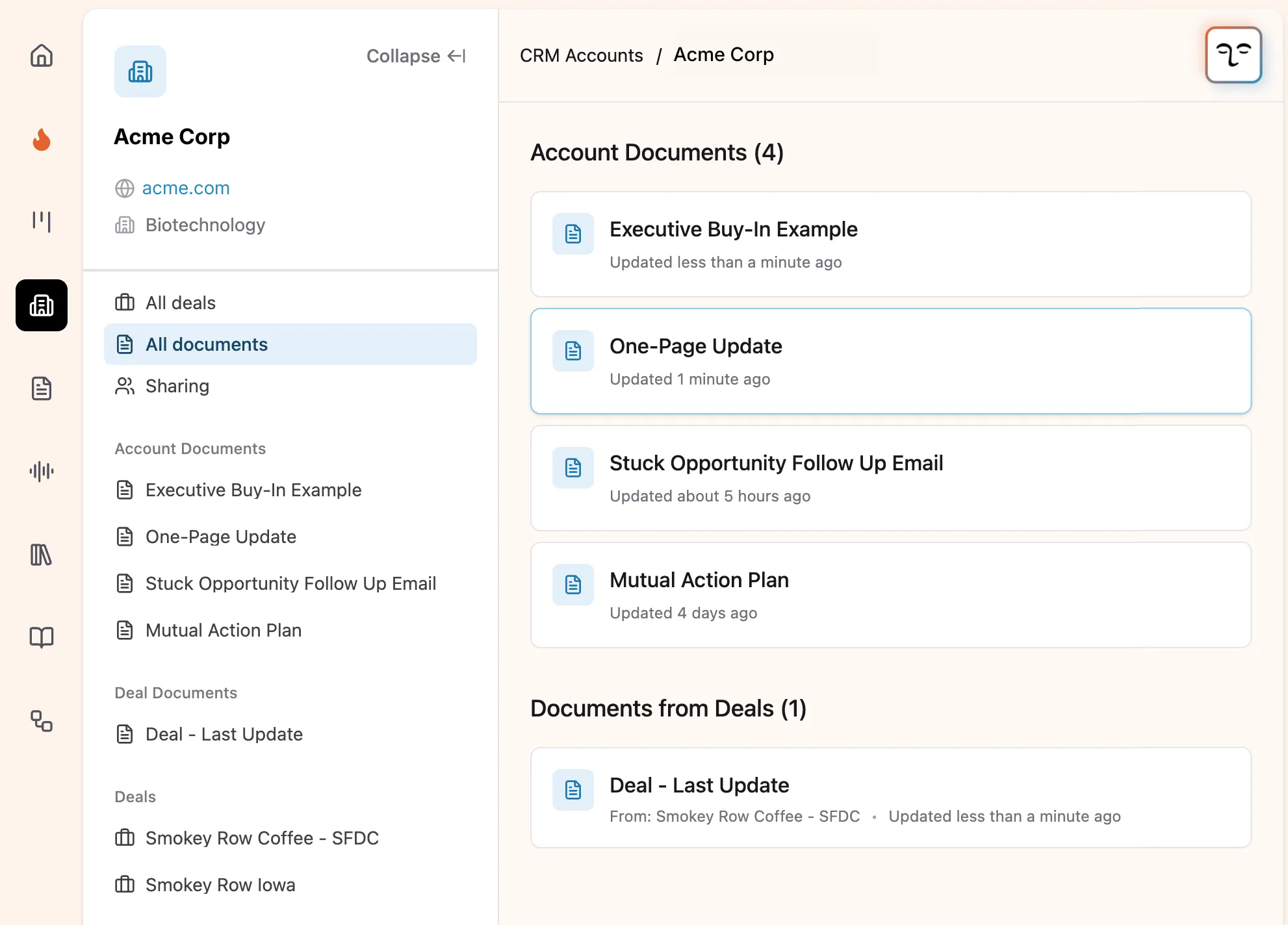 CRM Account View