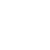 sheild icon