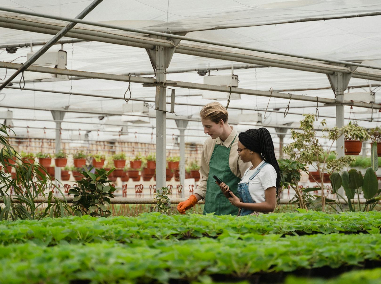 How It Works Illustration