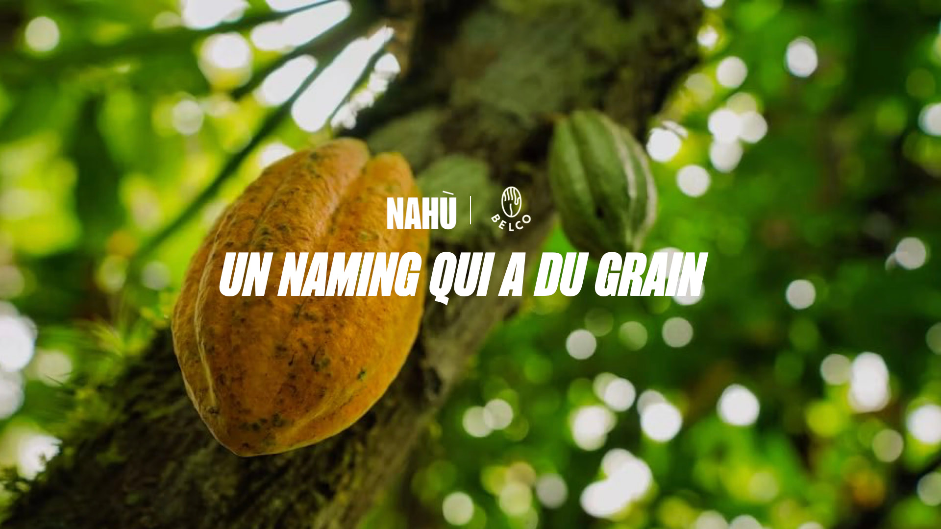 Nahù