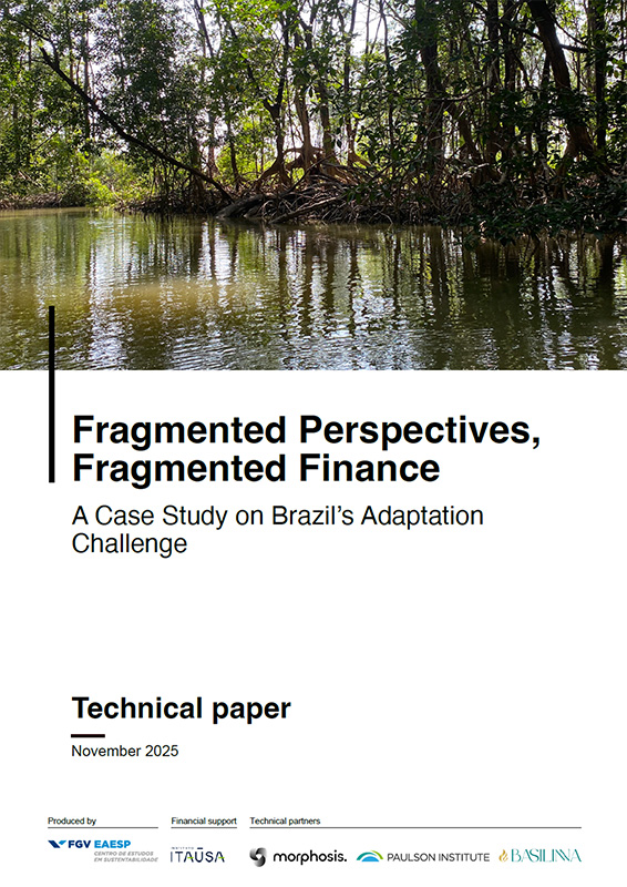 Cover of Morphosis' technical paper, 'Fragmented Perspectives, Fragmented Finance: A Case Study on Brazil’s Adaptation Challenge'. 