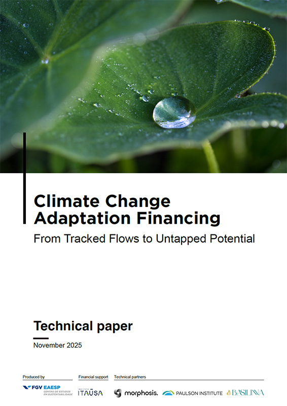 Cover of Morphosis' technical paper, 'Climate Change Adaptation Financing, From Tracked Flows to Untapped Potential. 