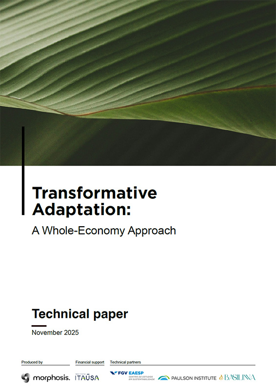 Cover of Morphosis' technical paper, 'Transformative Adaptation: A Whole-Economy Approach'. 