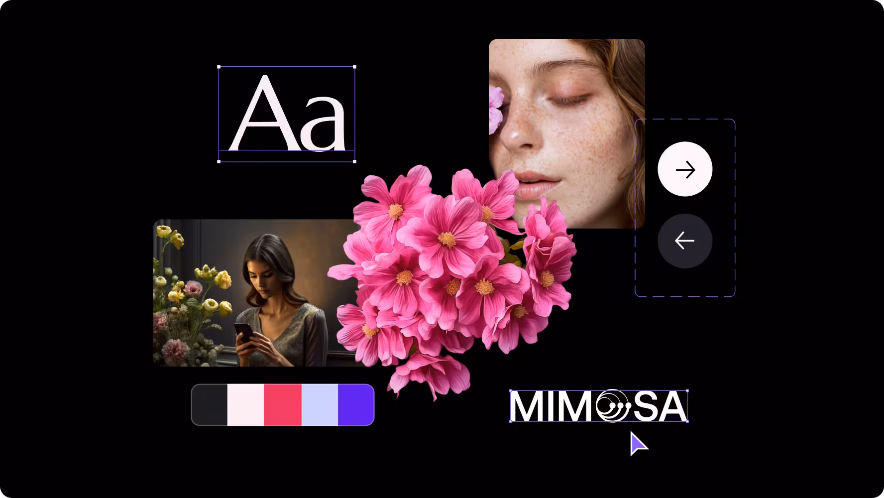 design system creation by Halo Lab for Mimosa platform