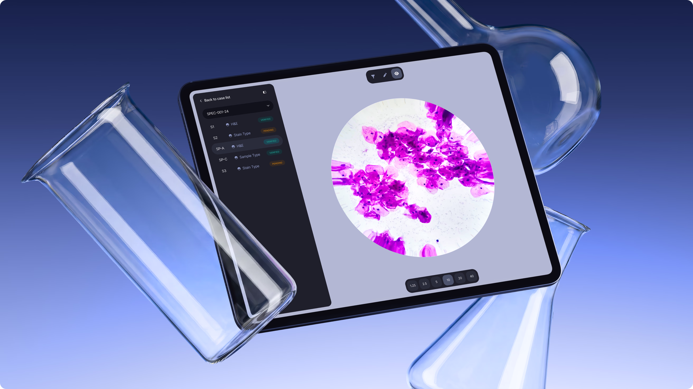 modular, UX-driven platform with clear architecture designed by Halo Lab