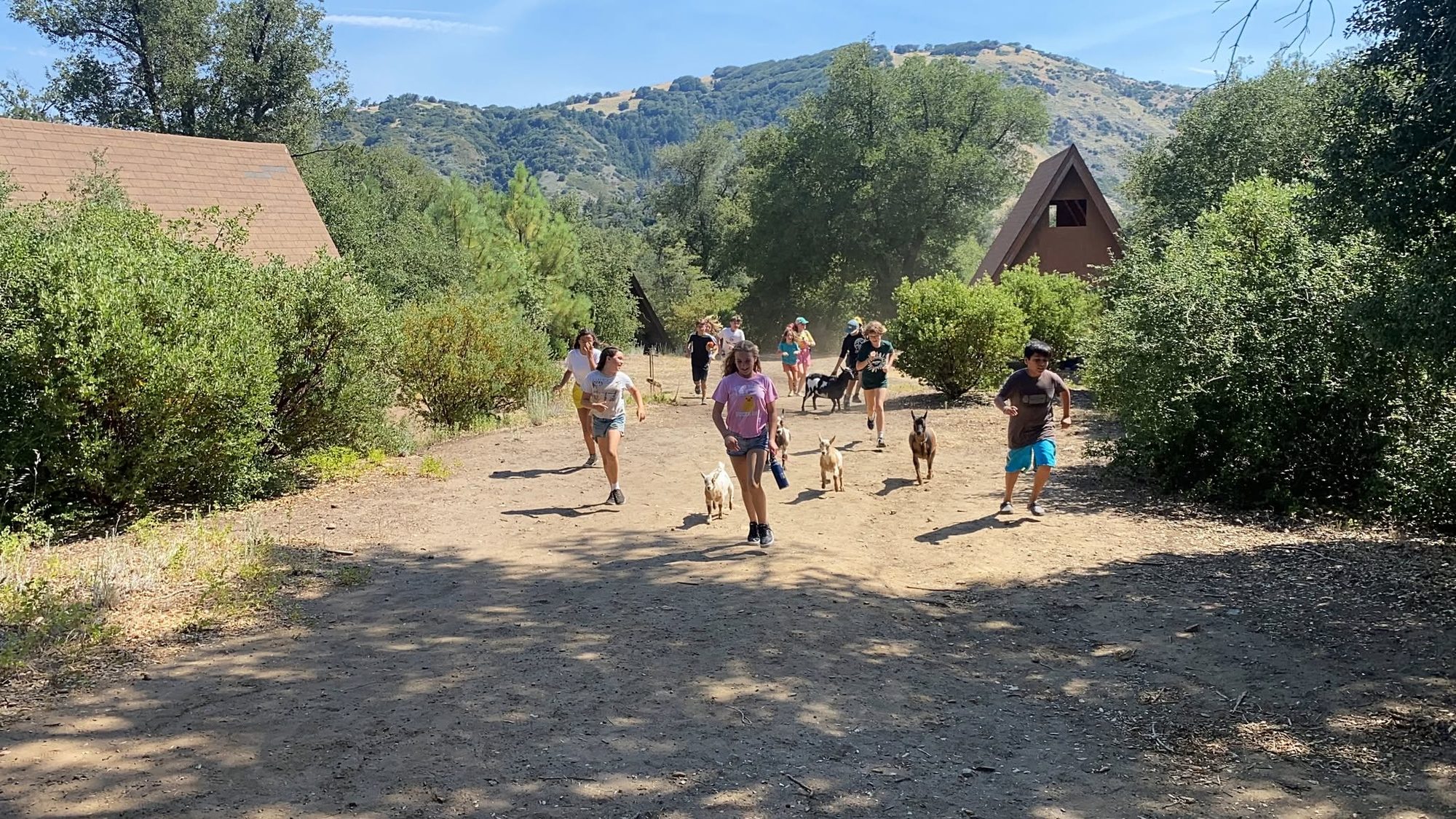 Campers running down a dirt path at Camp Stevens with goats alongside them and the Southern California mountains behind