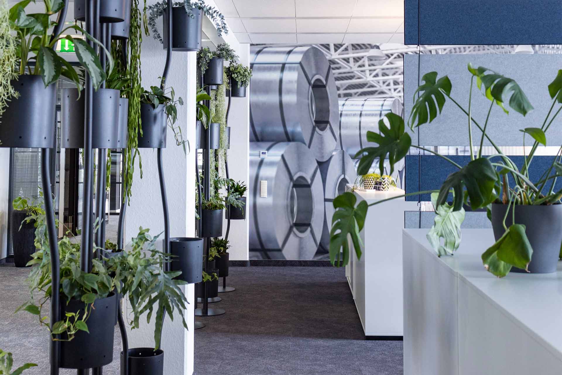 Heller Büroflur mit grünen Pflanzen und grafischer Wandgestaltung.