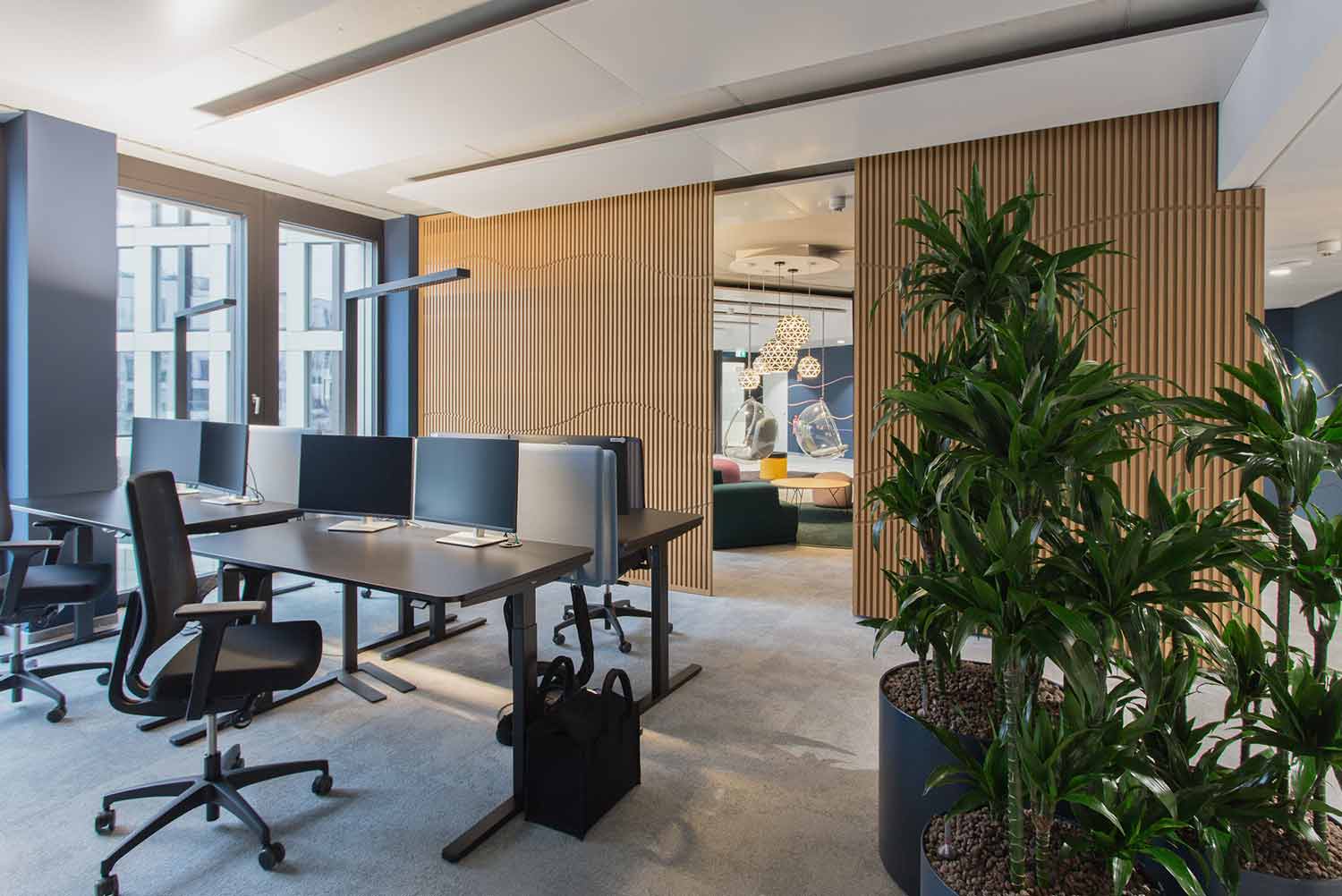 Moderner Büroraum mit Schreibtischen, ergonomischen Stühlen, Computermonitoren, großen Zimmerpflanzen und einer durch eine Holzlamellenwand sichtbaren Lounge-Ecke.
