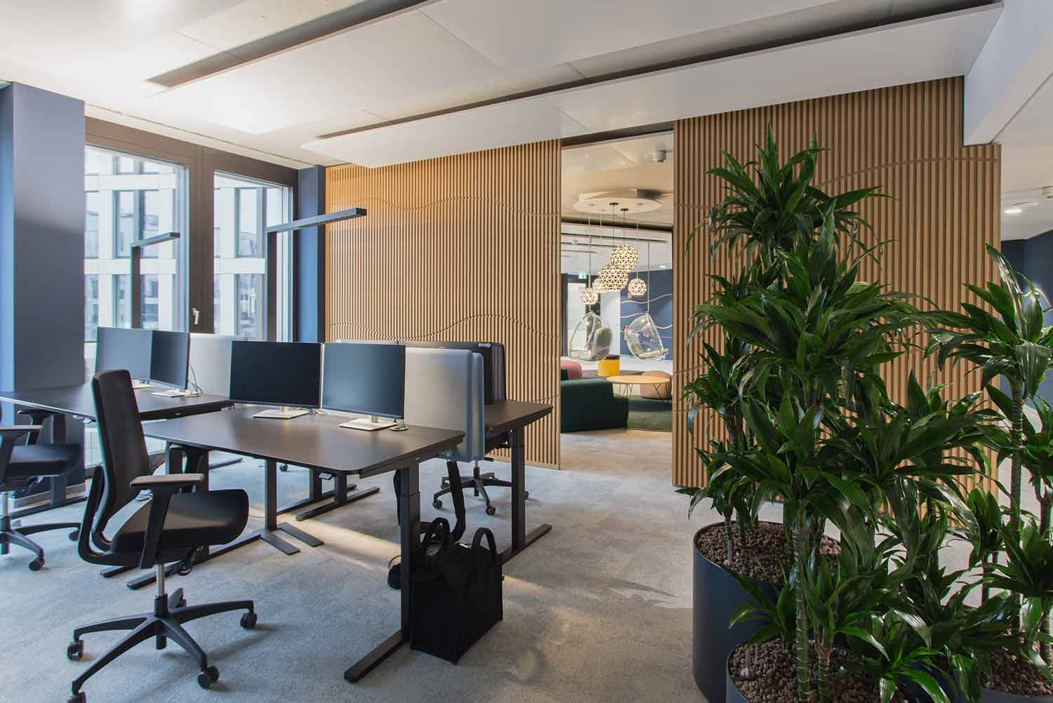 Offenes Büro mit viel Tageslicht und großen Pflanzen.