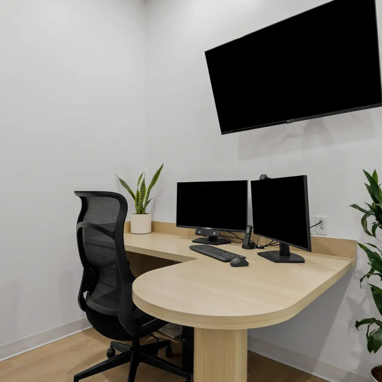 Front Desk of of Elevated Dental in Georgetown TX