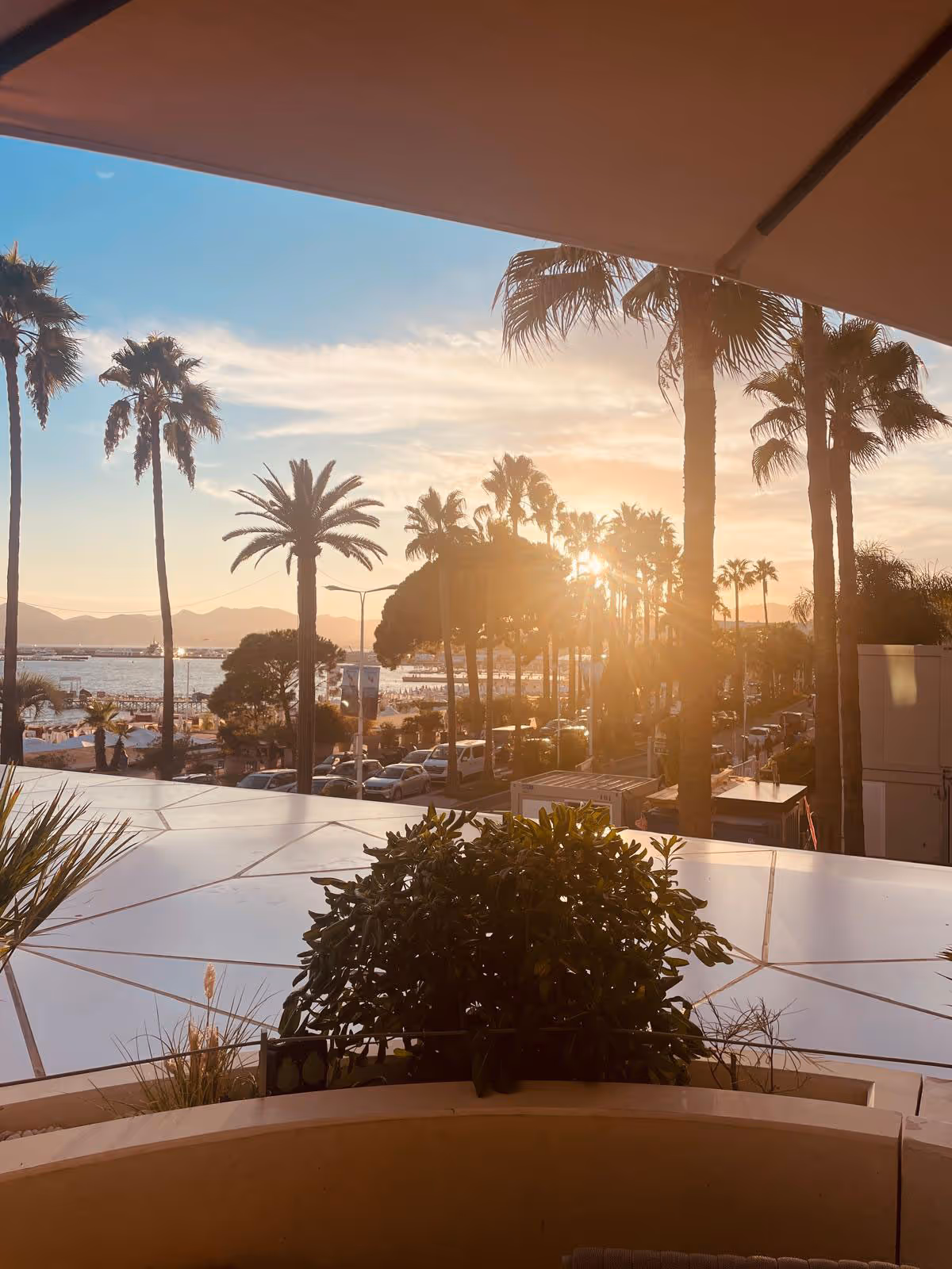 Vue d'un coucher de soleil avec en fond la mer et les palmiers