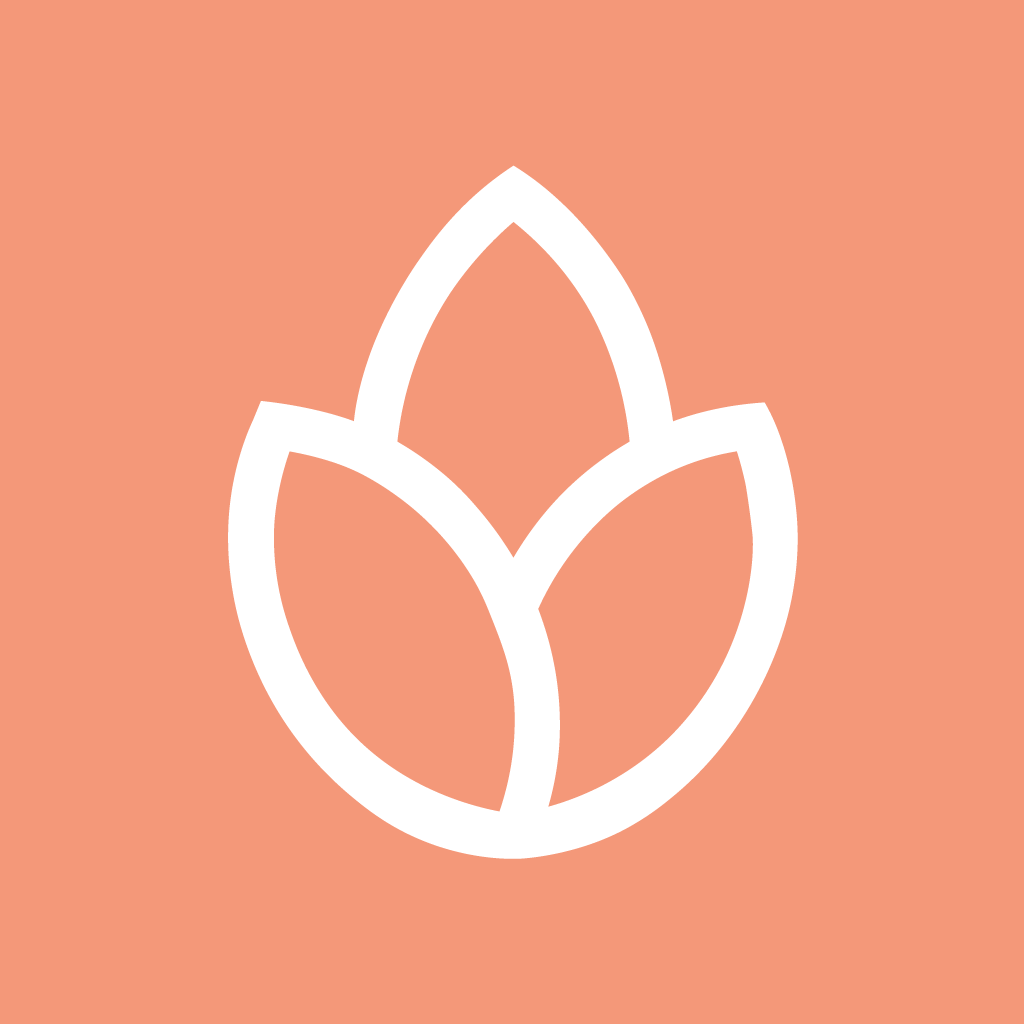 bonfire logo on cancel network