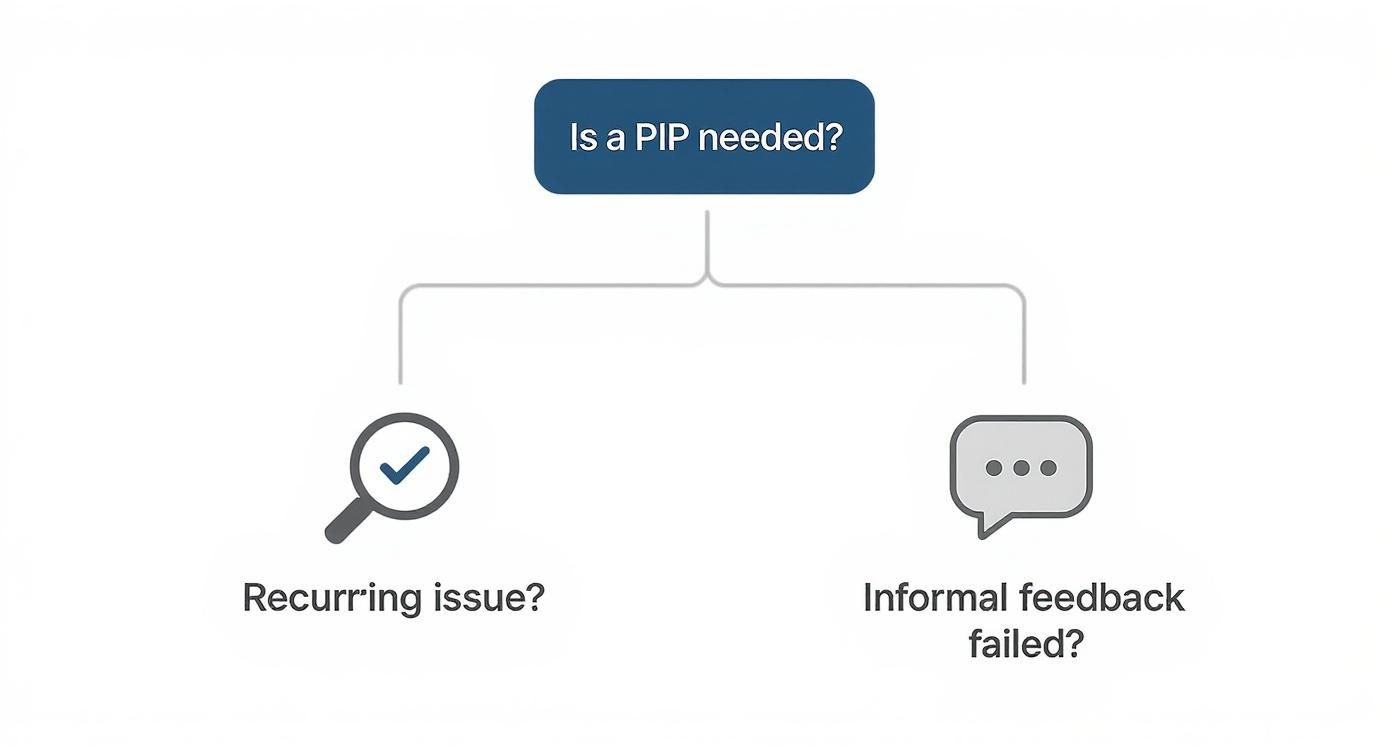 Infographic about performance improvement plan